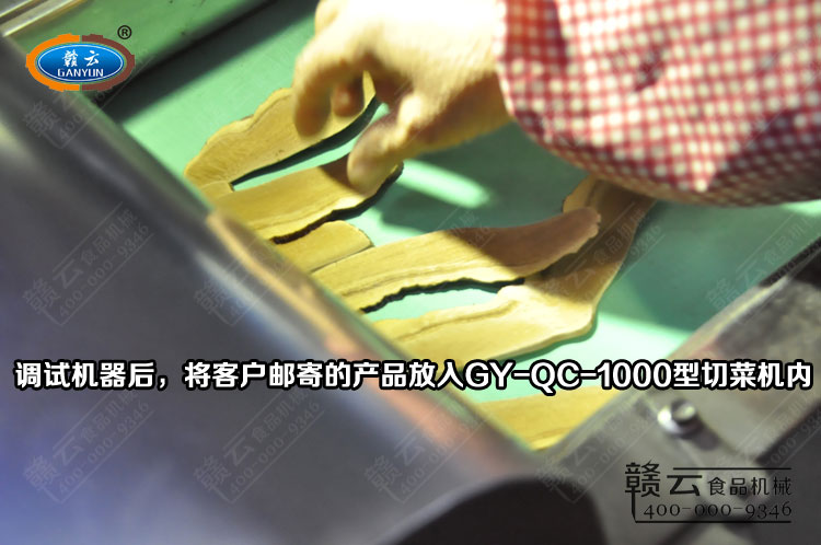 將靈芝片放入切菜機豎切入口內(nèi)