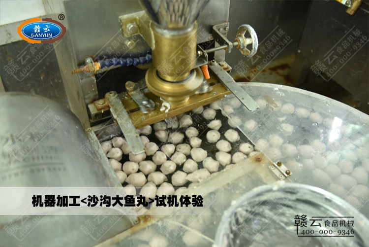 沙溝大魚丸的成型和定型