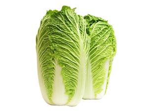 原料