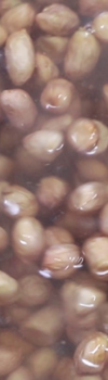 浸泡