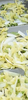 振動(dòng)輸送