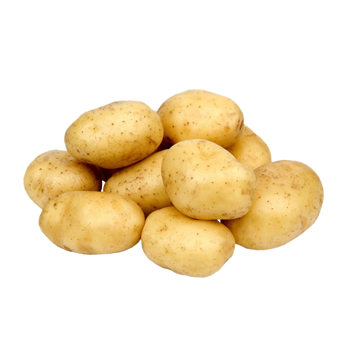 原料