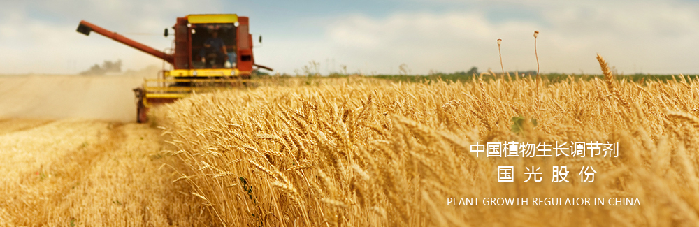 絞肉機(jī)/切肉機(jī)/采肉機(jī)