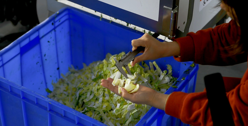 機器隊中切菜機的切菜效果切片參數(shù)圖片 機器隊中切菜機的切菜效果切片參數(shù)圖片