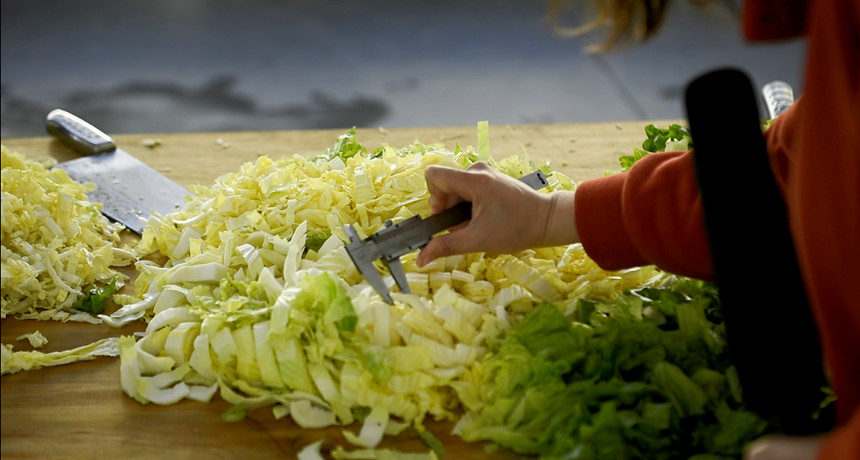 人工切菜師傅效果外觀圖片 人工切菜師傅效果外觀圖片